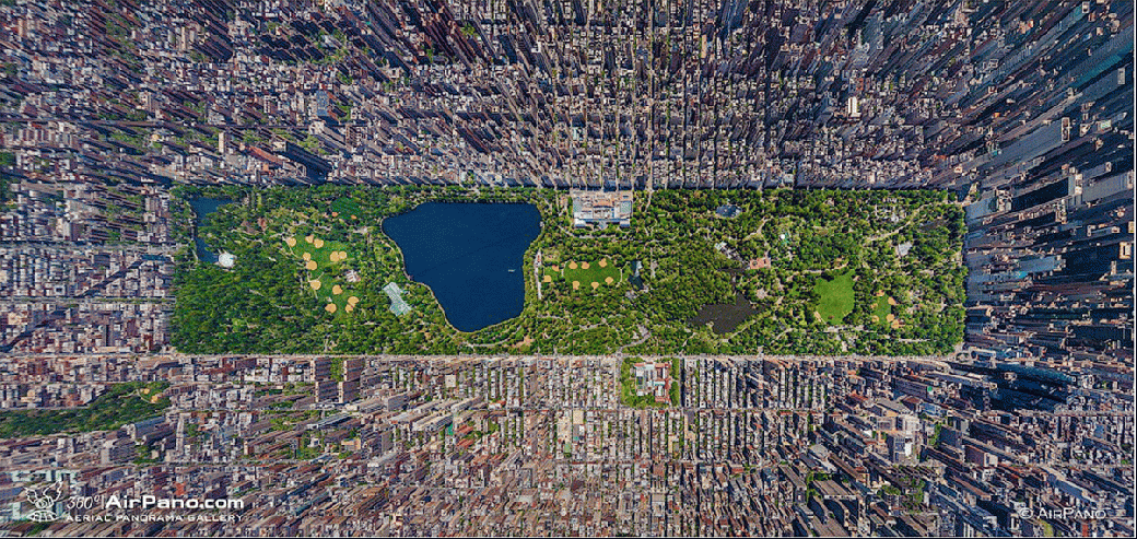 Central Park - New York