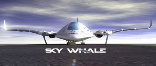 sky-whale_7